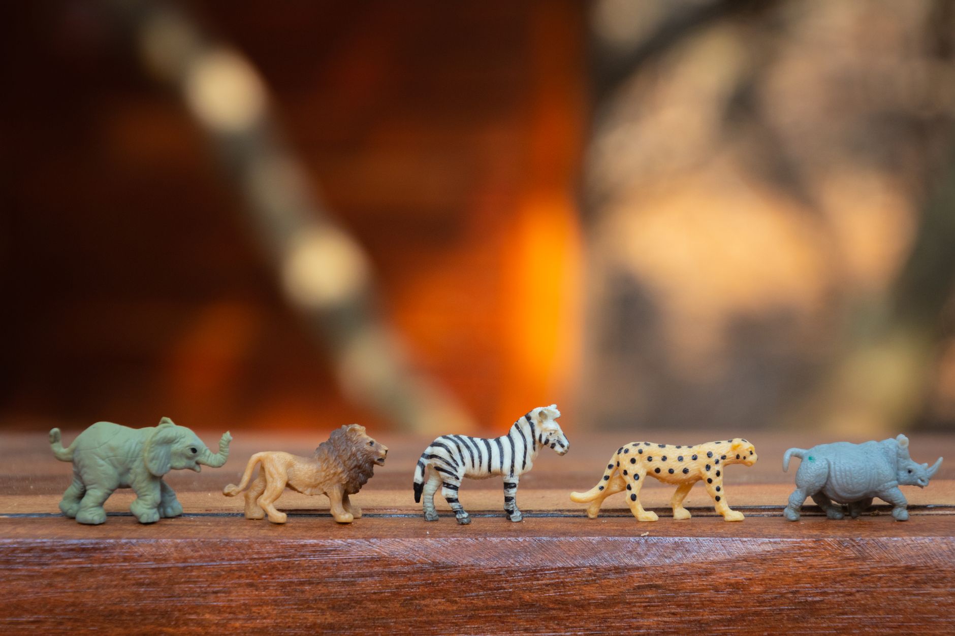 Safari animals including lions, elephants and zebras on the African savanna