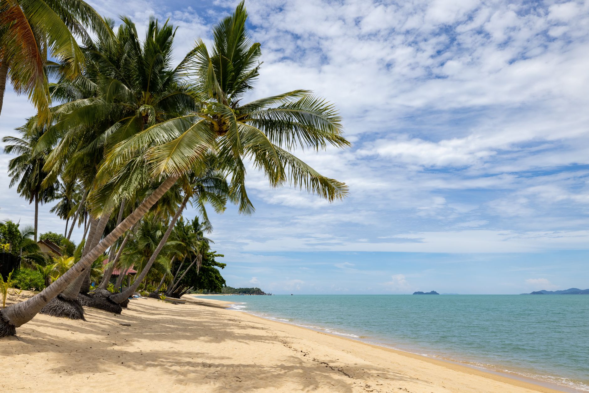 Tropical sea beach coastline