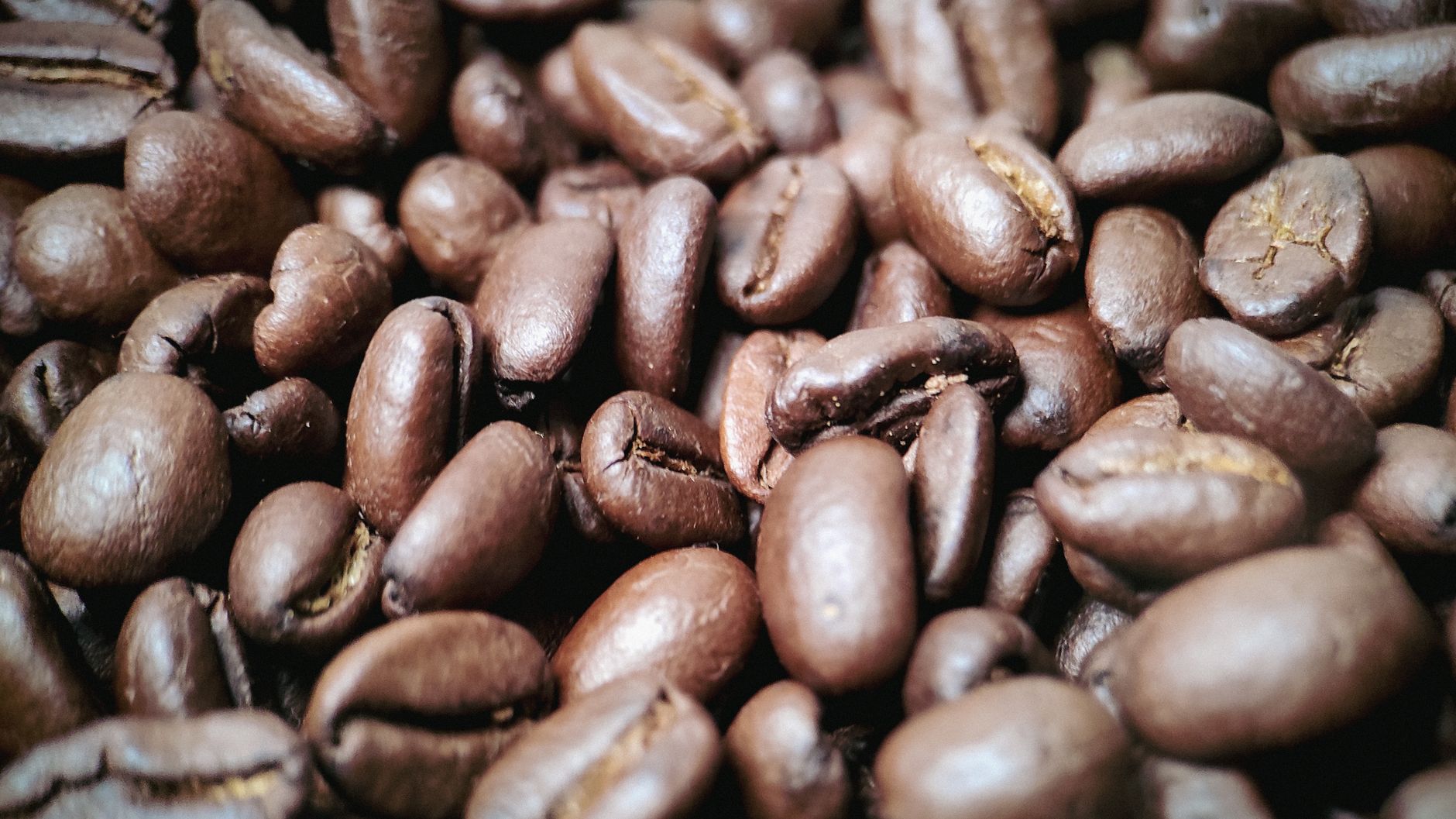 Freshly roasted coffee beans up close