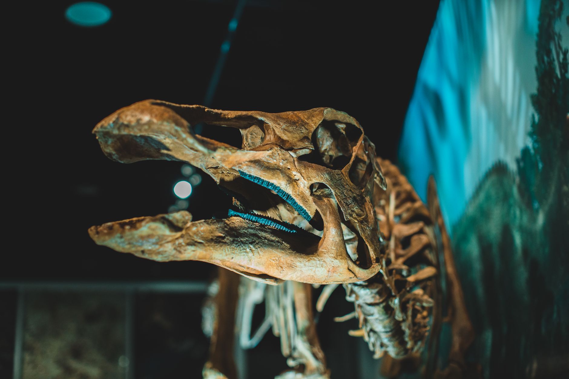 Dinosaurs Quiz — Prehistoric Life