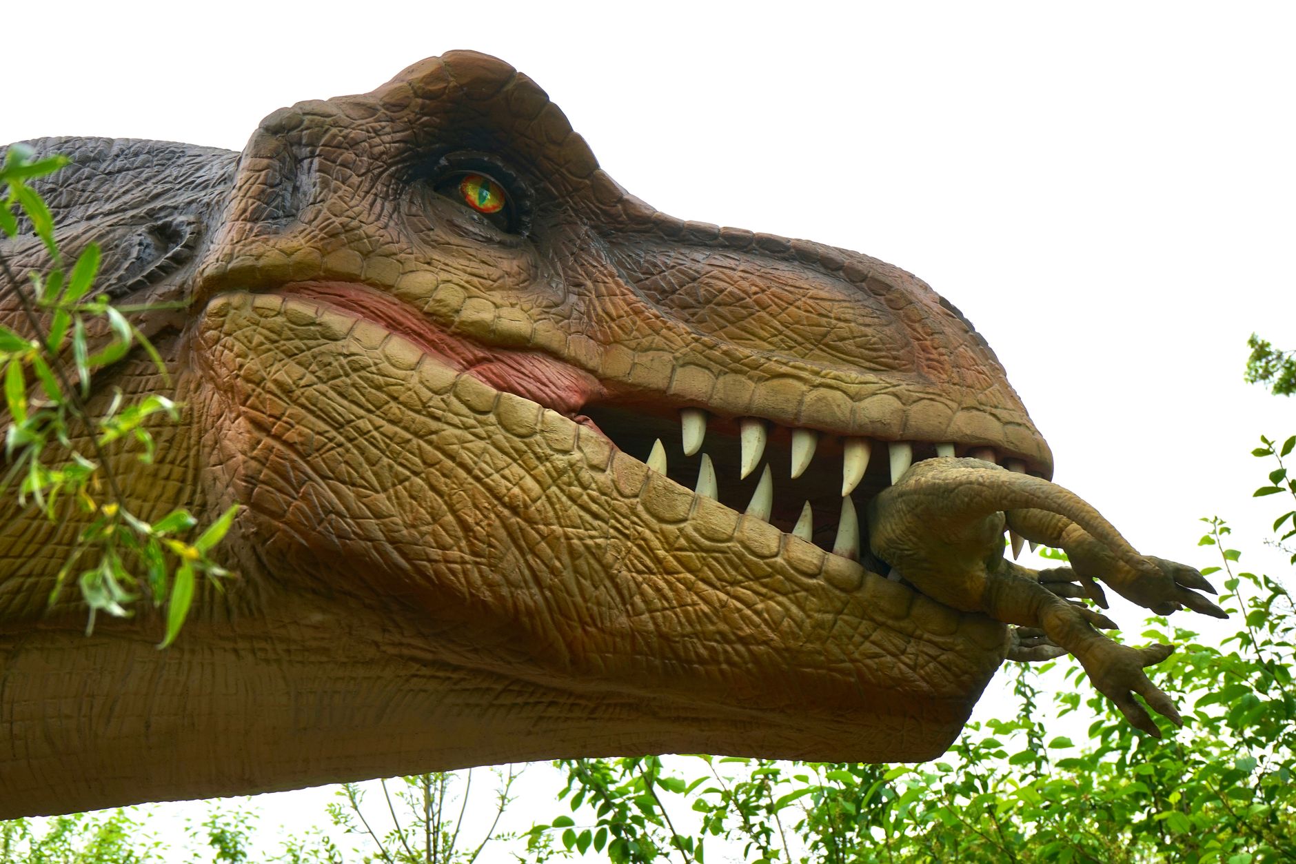 Prehistoric T-Rex Jurassic dinosaur massive predator