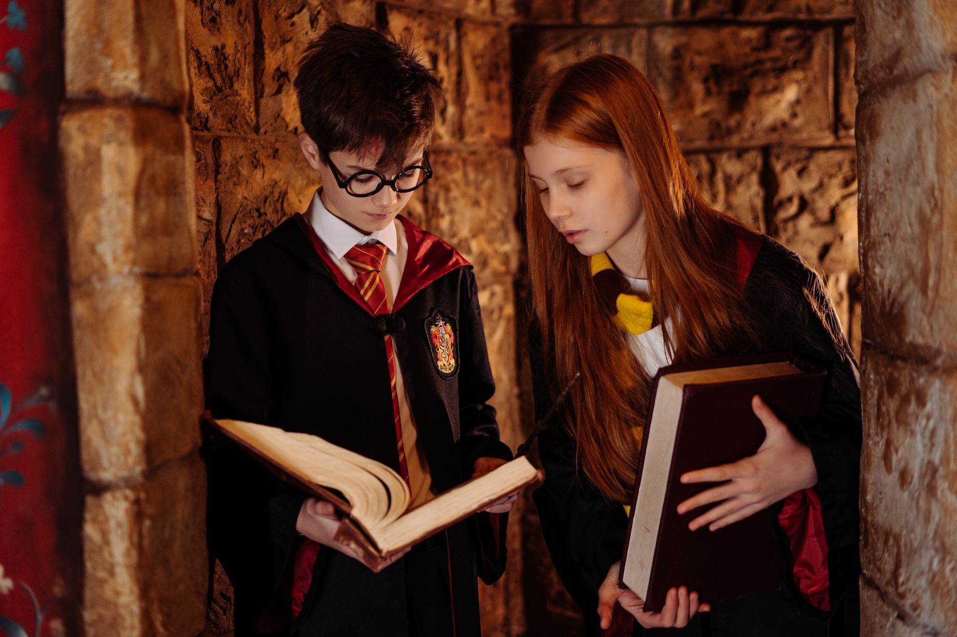 Harry Potter books and magical objects on a library shelf