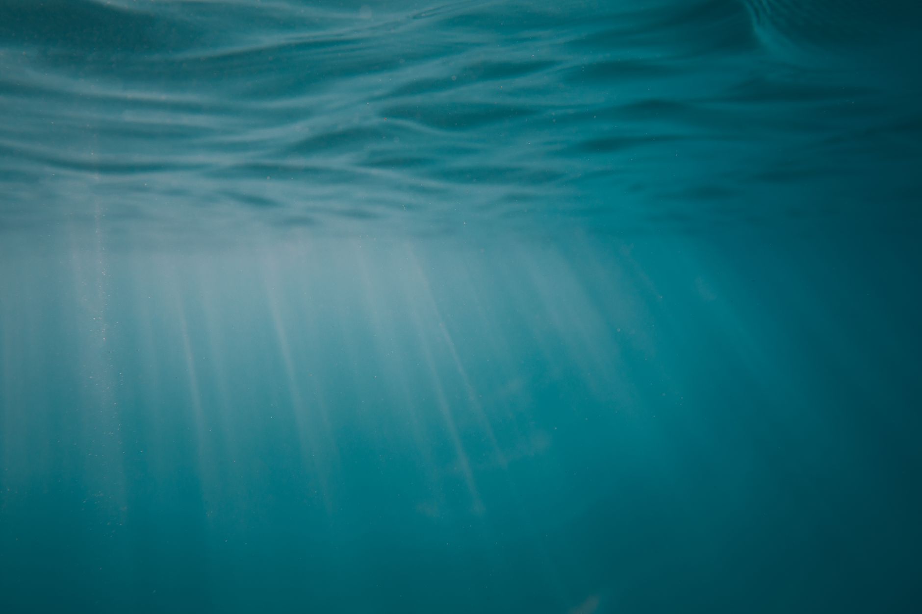 Oceans and Seas Quiz — marine geography trivia