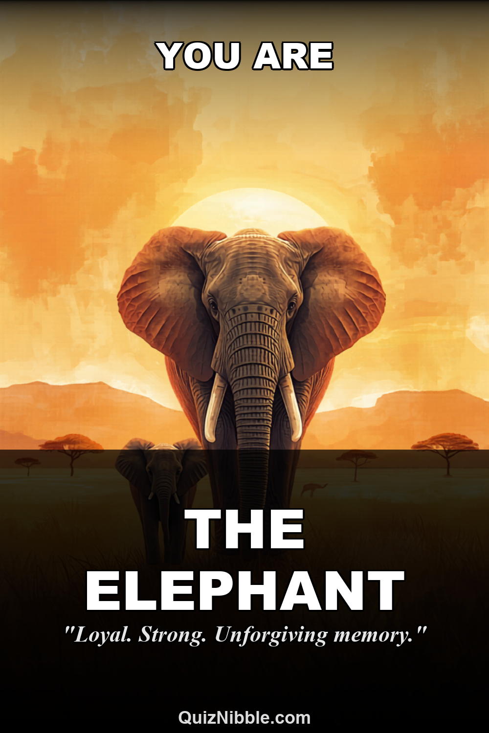Elephant result card for What Is Your Spirit Animal?