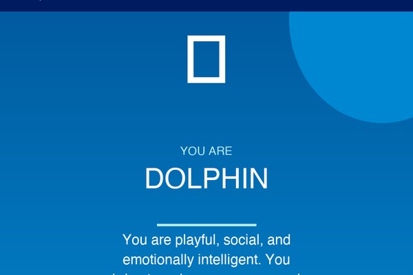 What Is Your Spirit Animal?