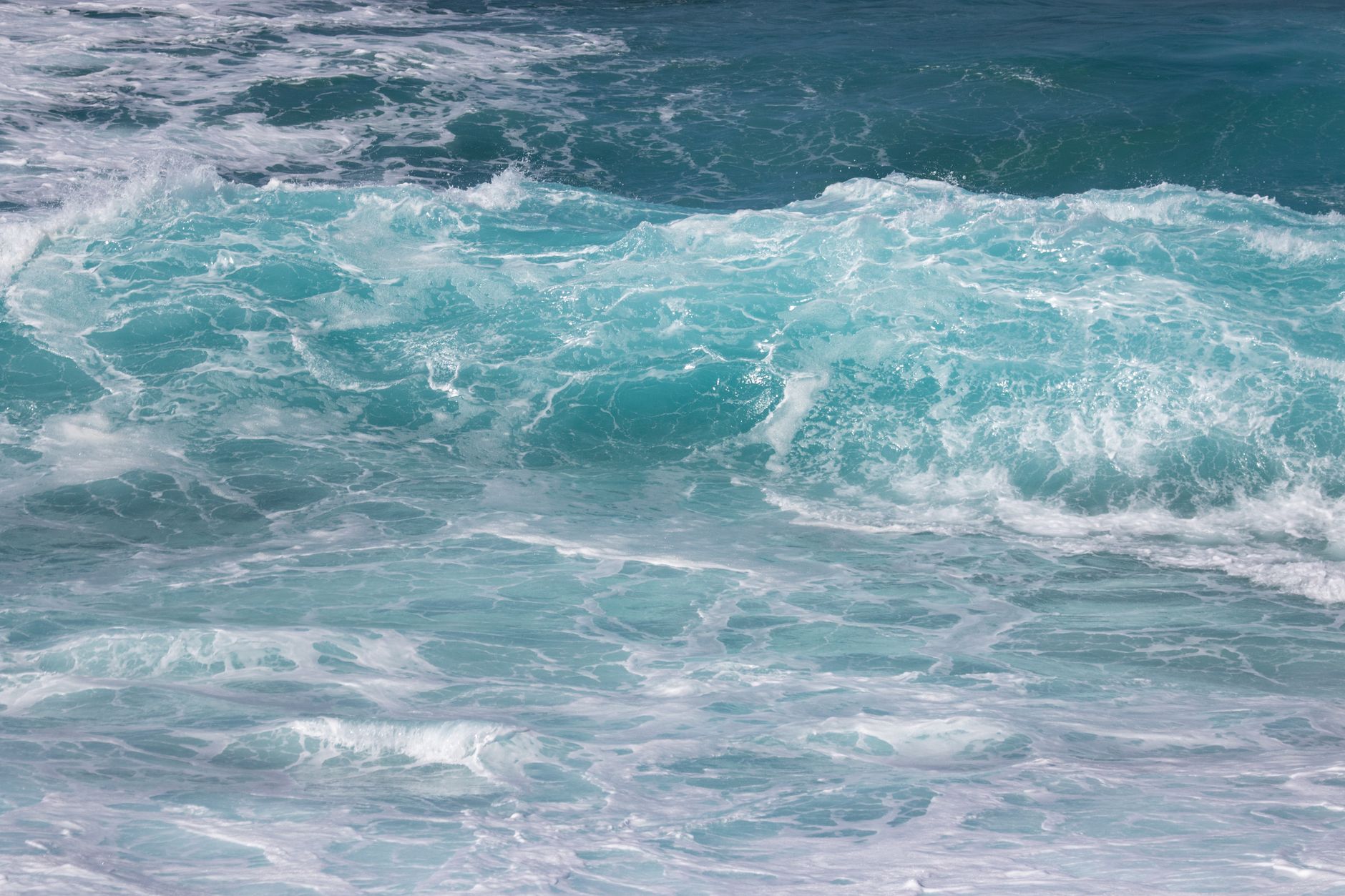 Ariel theme photo 2