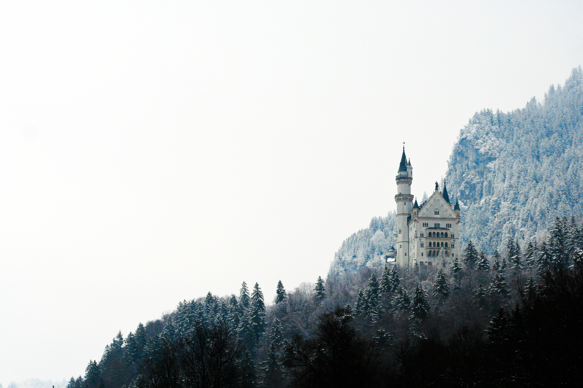 Rapunzel theme photo 2