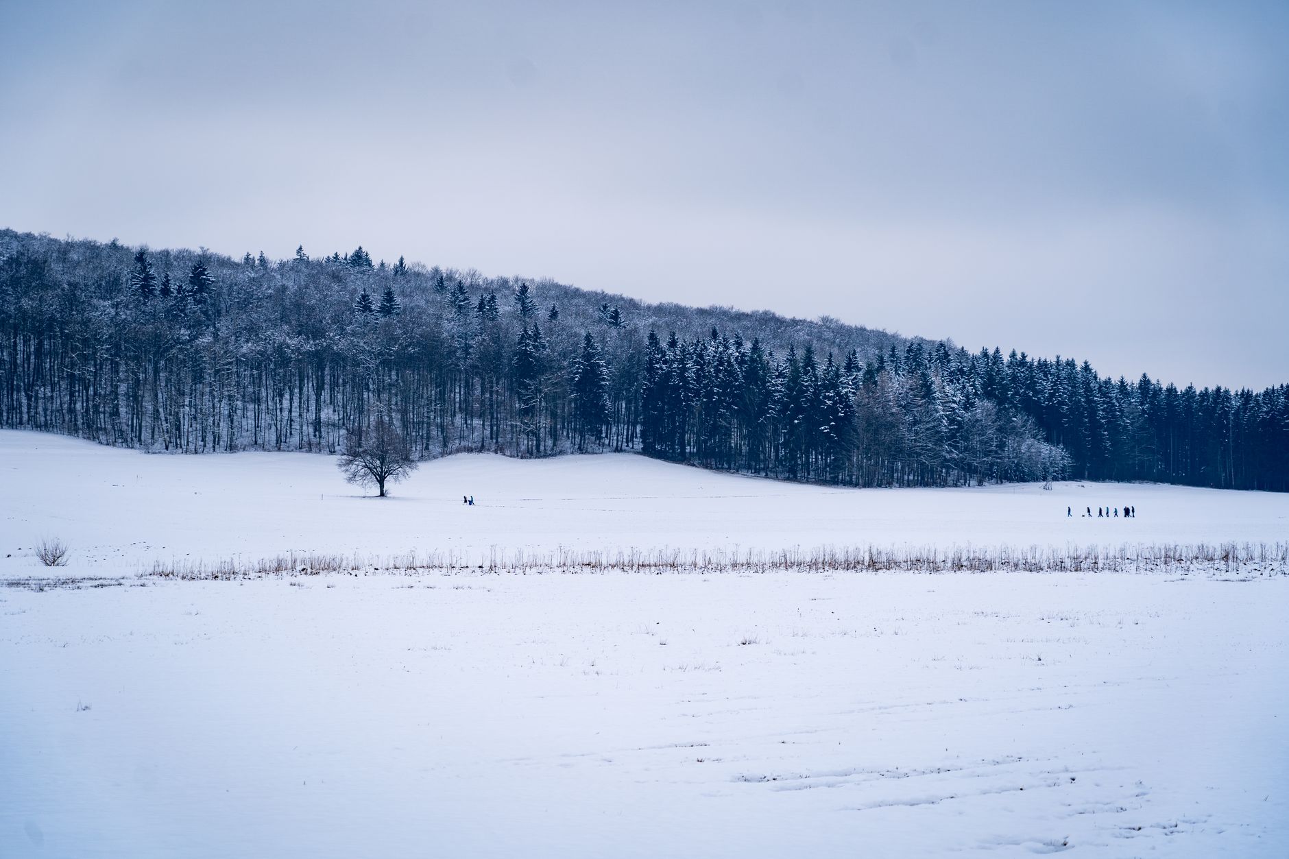 Winter result — Which Season Are You?