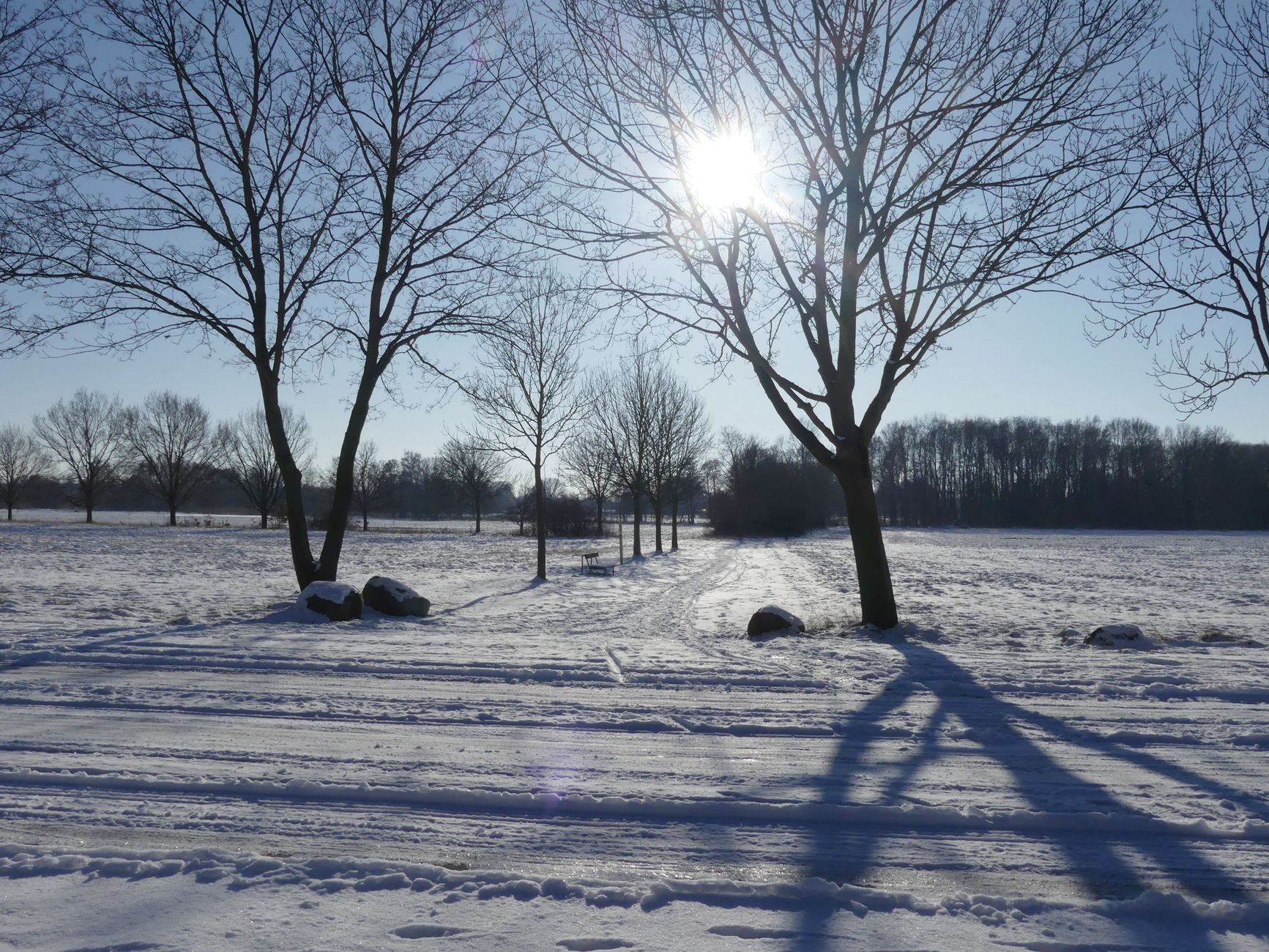 Winter theme photo 2