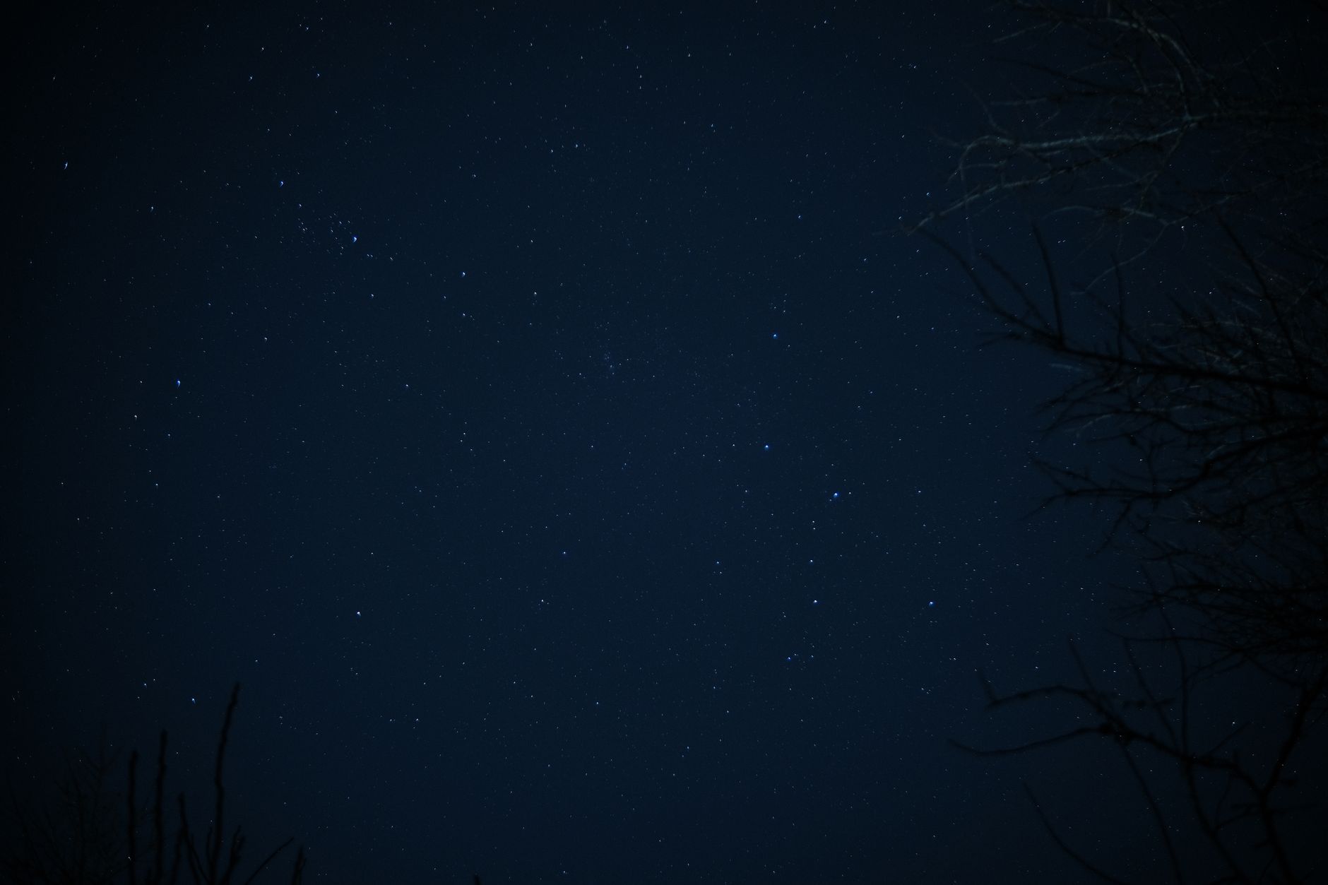 Night sky full of stars and constellations — astrology and zodiac signs