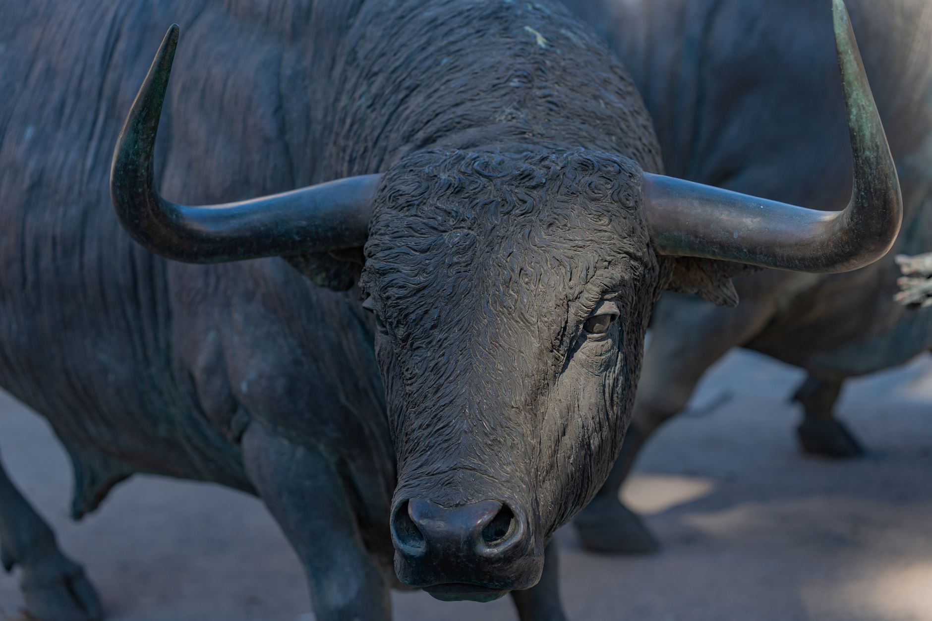 Taurus result — Which Zodiac Sign Matches Your Personality?